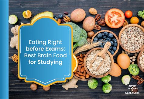 The Top 9 Brain Foods for Studying and Exams 